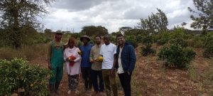 Enviu's Venture Builder Exchange Program